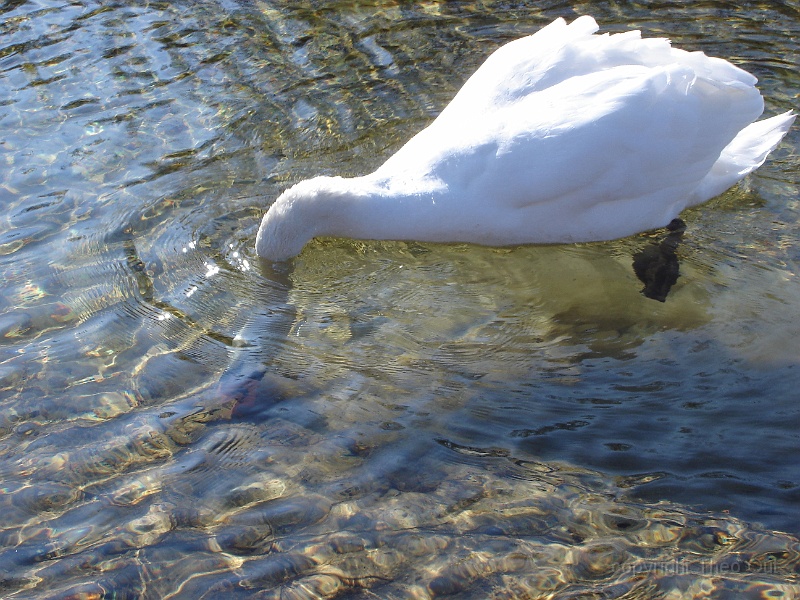 DSC00284.JPG