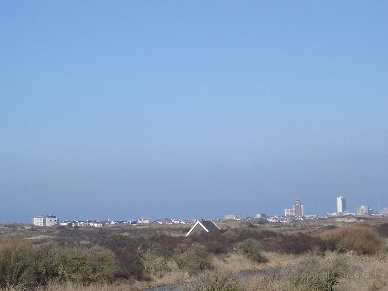 DSC00295.JPG