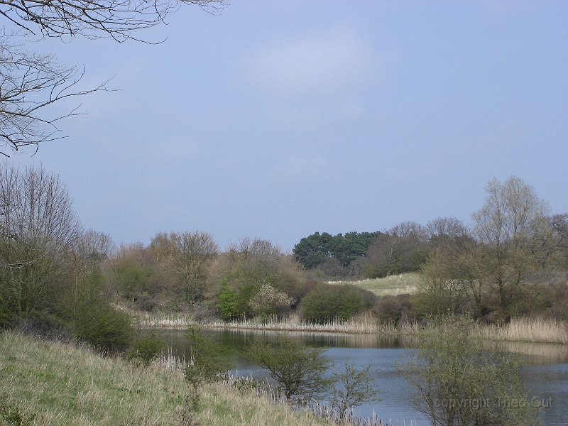 DSC00782.JPG