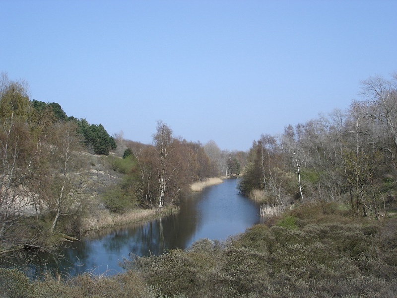 DSC00804.JPG