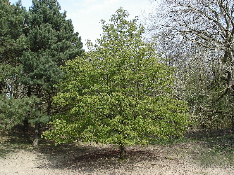 DSC00881.JPG