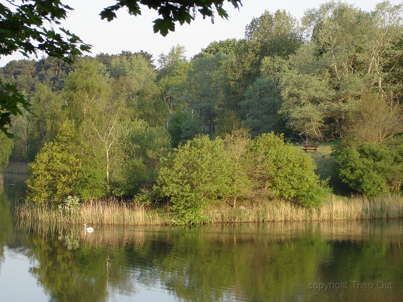 DSC00984.JPG