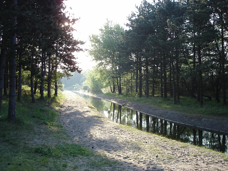 DSC01002.JPG