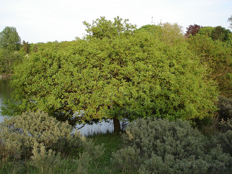 DSC01172.JPG