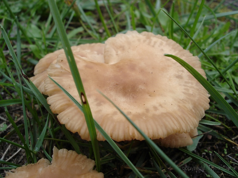DSC02125.JPG