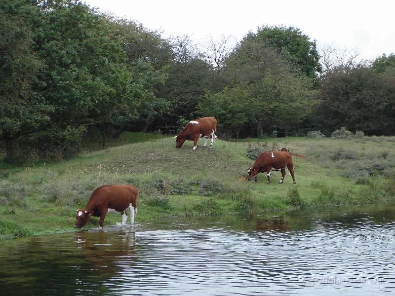 DSC02652.JPG