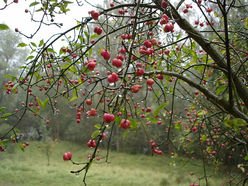 DSC03021.JPG