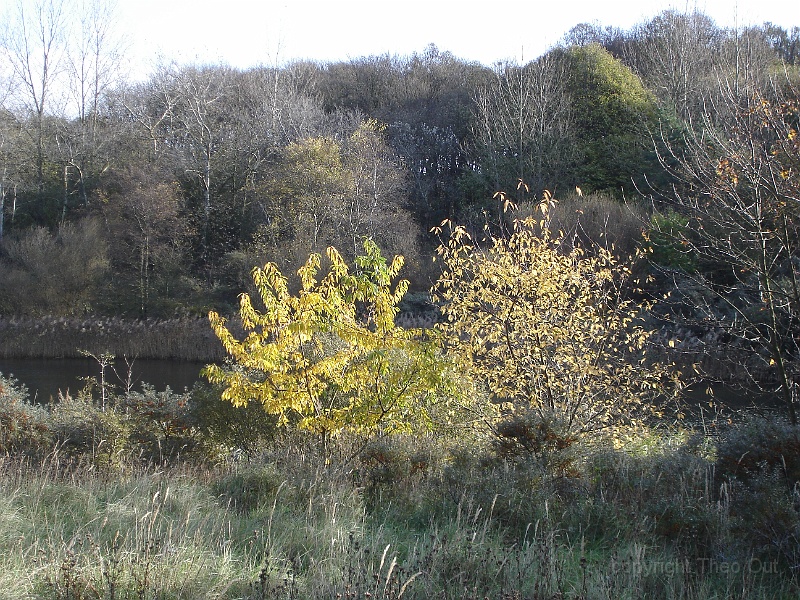 DSC03209.JPG