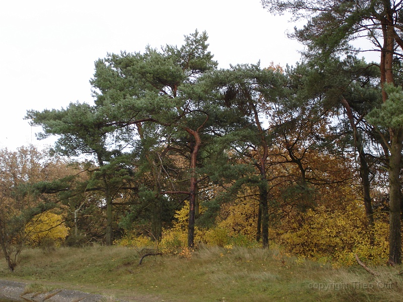 DSC03293.JPG