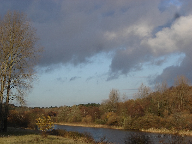 DSC03295.JPG