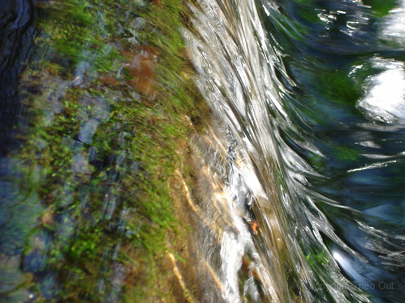 DSC03389.JPG