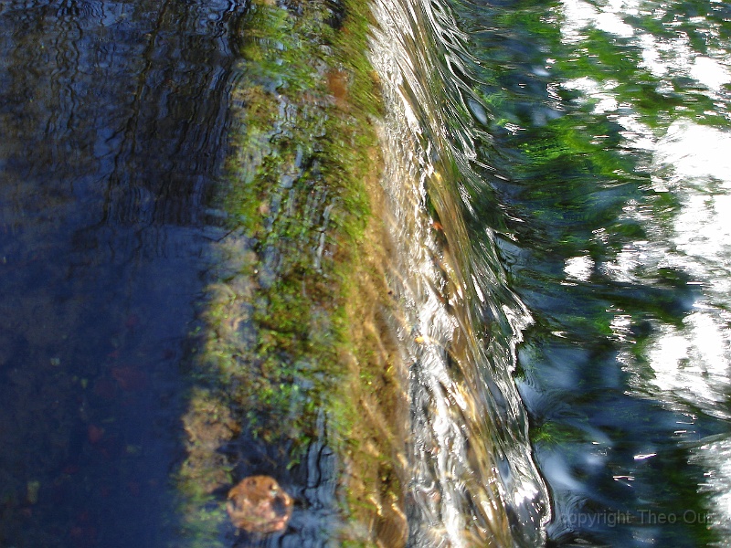 DSC03390.JPG