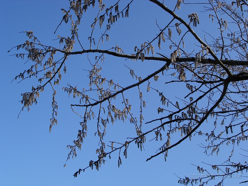 DSC04180.JPG