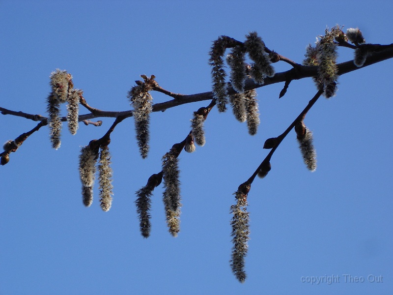 DSC04182.JPG