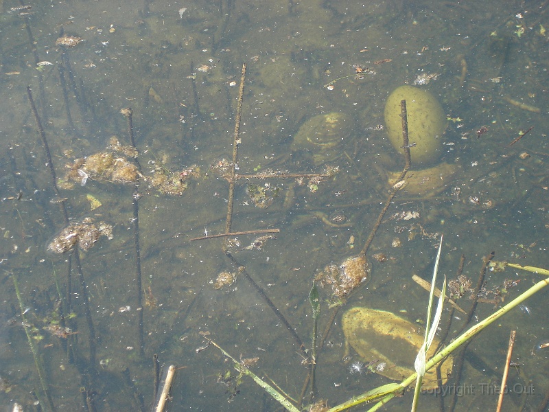 DSC04799.JPG