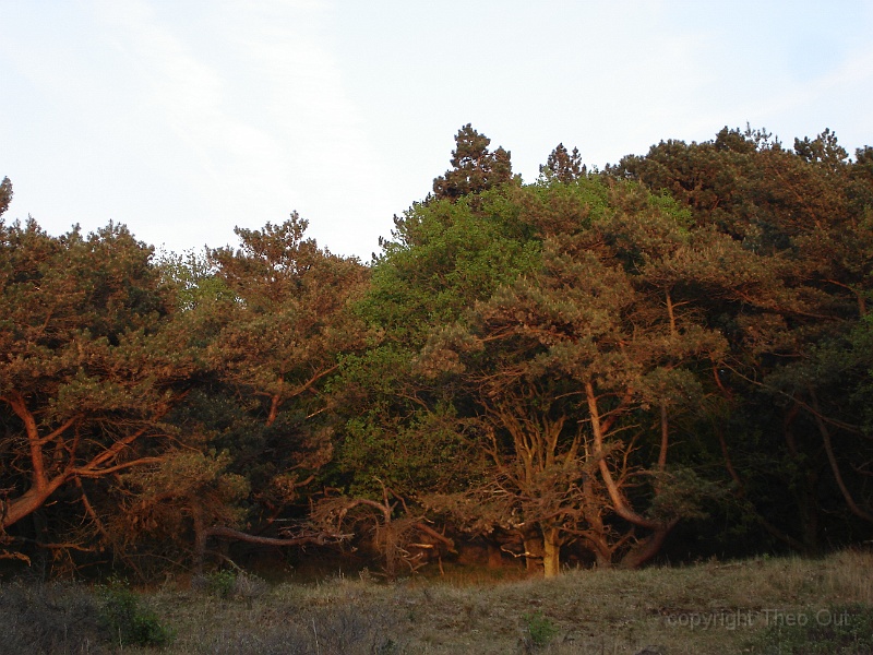 DSC04855.JPG