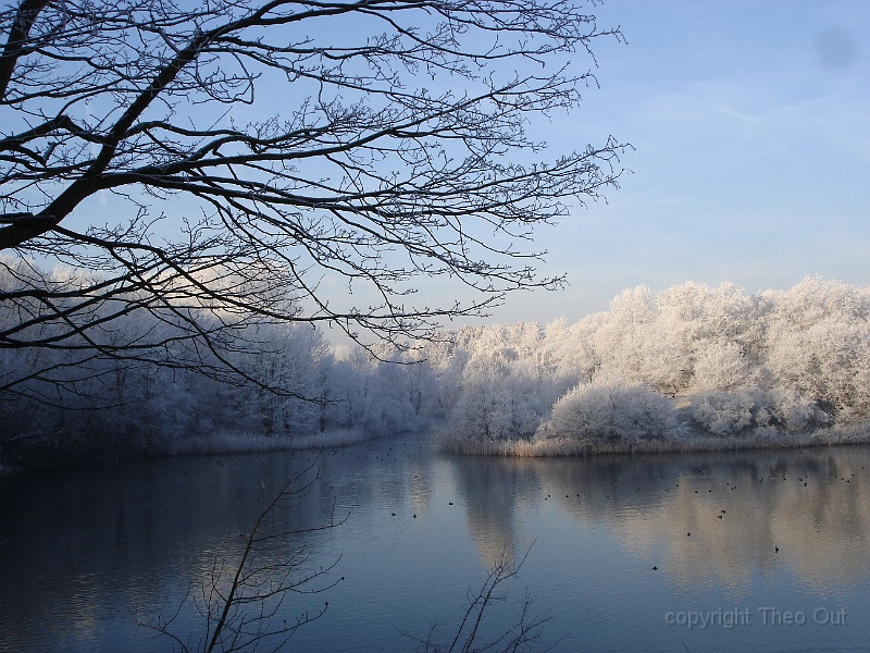DSC06689kopie.JPG