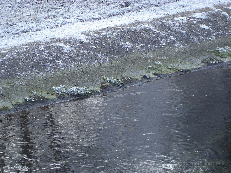 DSC06701kopie.JPG