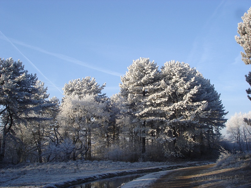 DSC06720.JPG