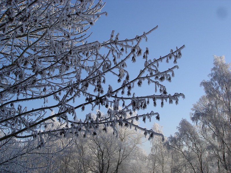 DSC06746.JPG