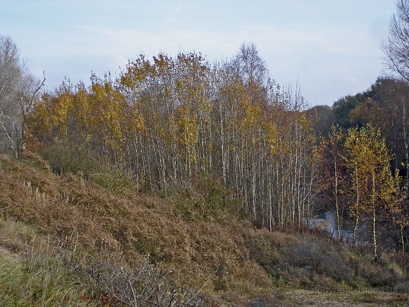 DSC06956-kopie.jpg -                                