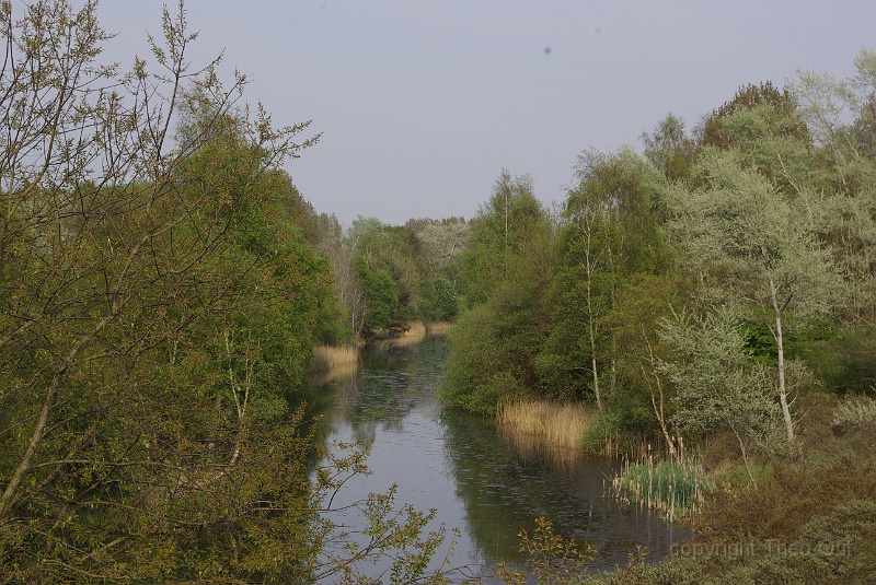 IMGP1241.JPG