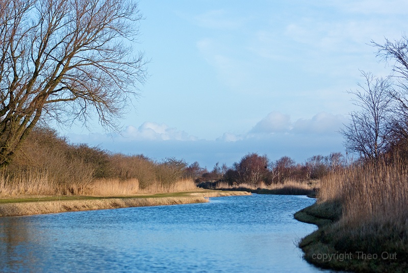 TAOU-20120102_IGPA0327.jpg