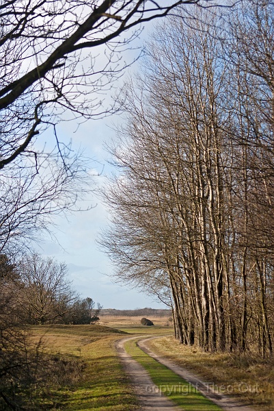 TAOU-20120102_IGPA0331.jpg
