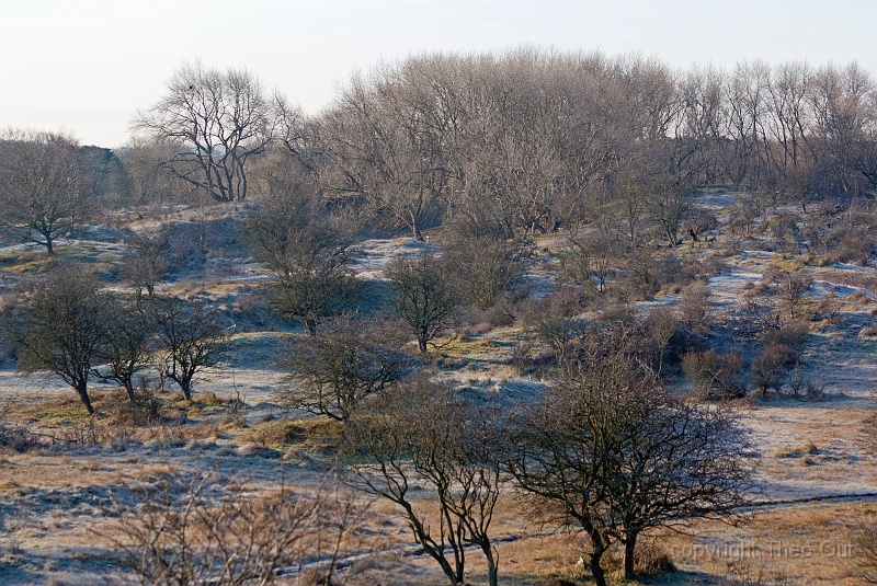TAOU-20120116_IGPA0526.jpg