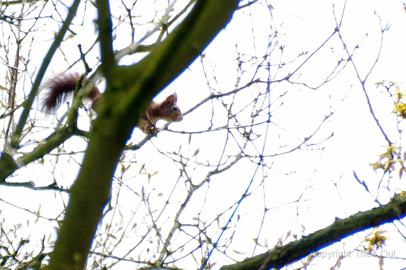 TAOU-20120424_IGPA5504d.jpg