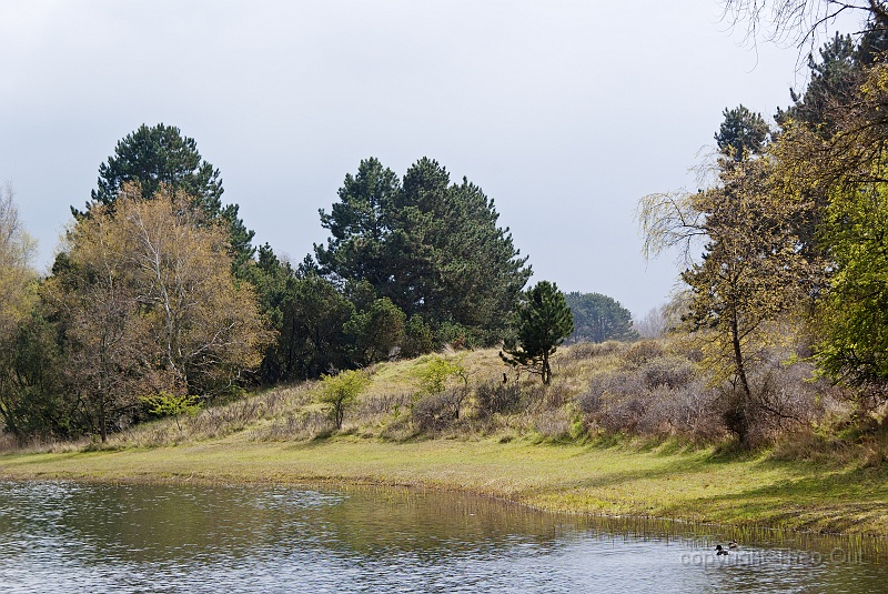 TAOU-20120424_IGPA5517-001.jpg