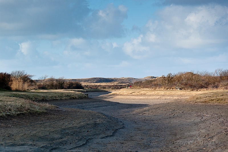 TAOU-20130101_IGP0200.jpg