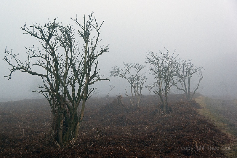 TAOU-20130410_IGP4546.jpg