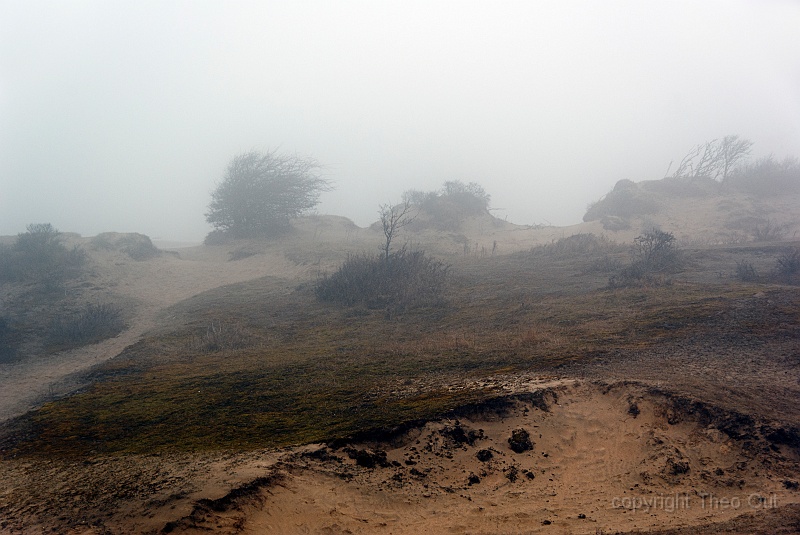 TAOU-20130410_IGP4566.jpg