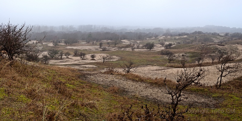 TAOU-20140123_IGP4040-53.jpg