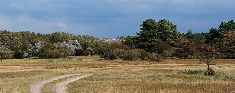 TAOU-20140821_IGP3228-001.jpg