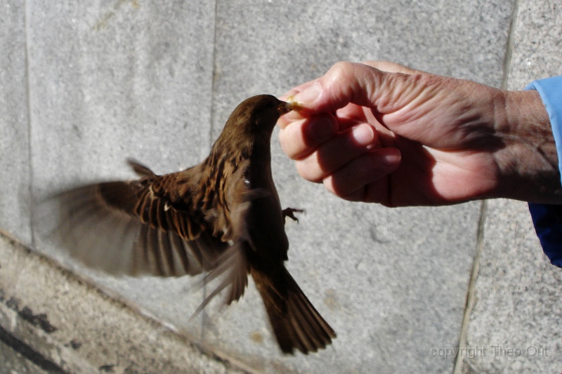 DSC03177-1.JPG