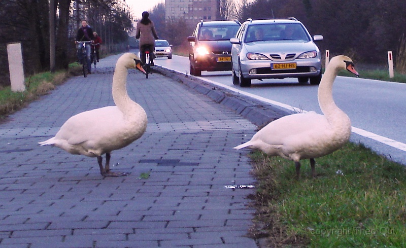 DSC03290.JPG