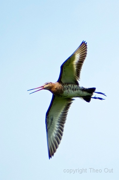 IMGP1845-grutto-1.jpg