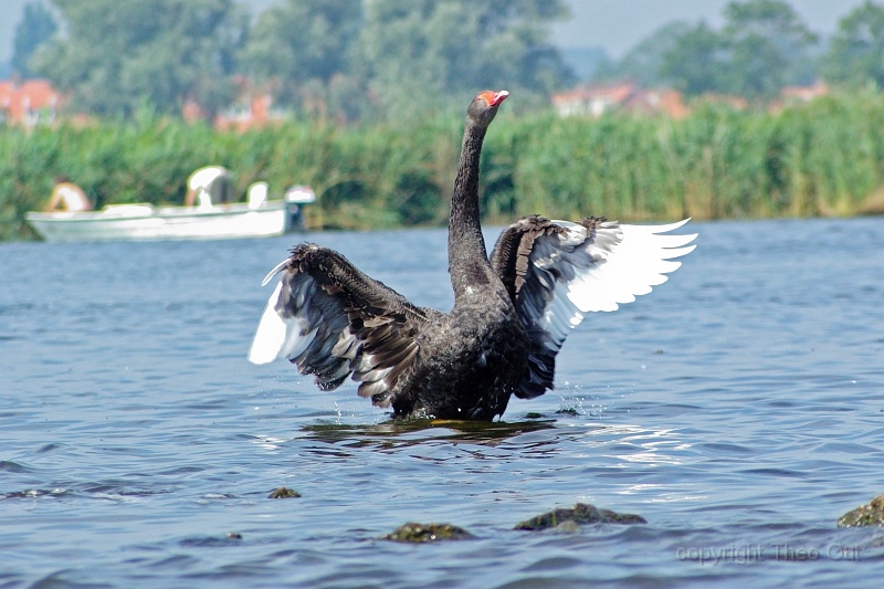 IMGP2719-d.jpg