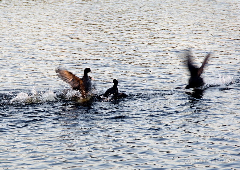 TAOU-20201106_IMG9622.jpg