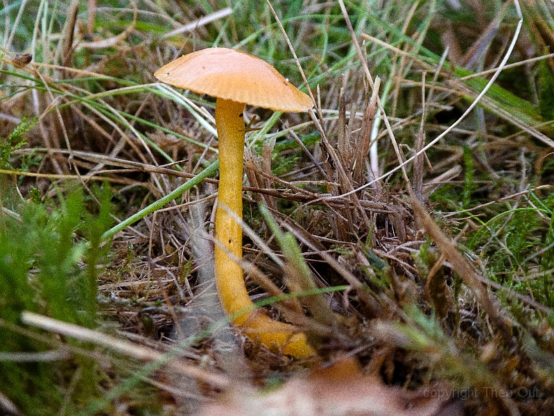 TAOU-20171101-P1000219-slijmwasplaat.jpg